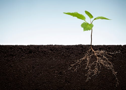 Beneath the Surface Benefits