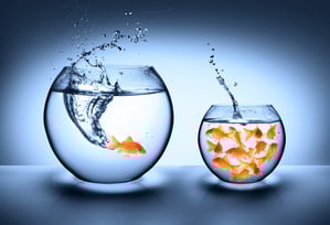 Challenge Your Prospect's Expectations