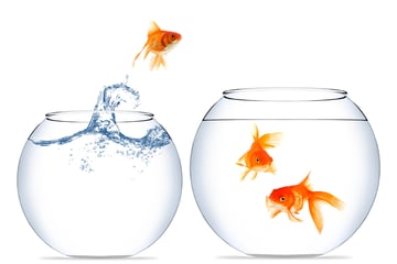 how-to-cross-sell-and-up-sell-part-2