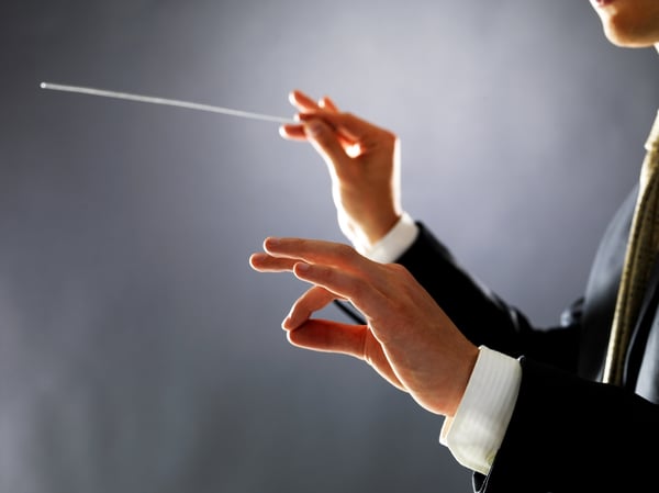 Sales Professional as a Symphony Conductor