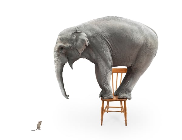 The Power of Influence