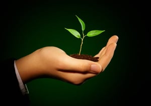 iStock_000064510565_Small