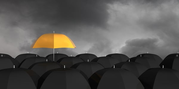 weather the storm
