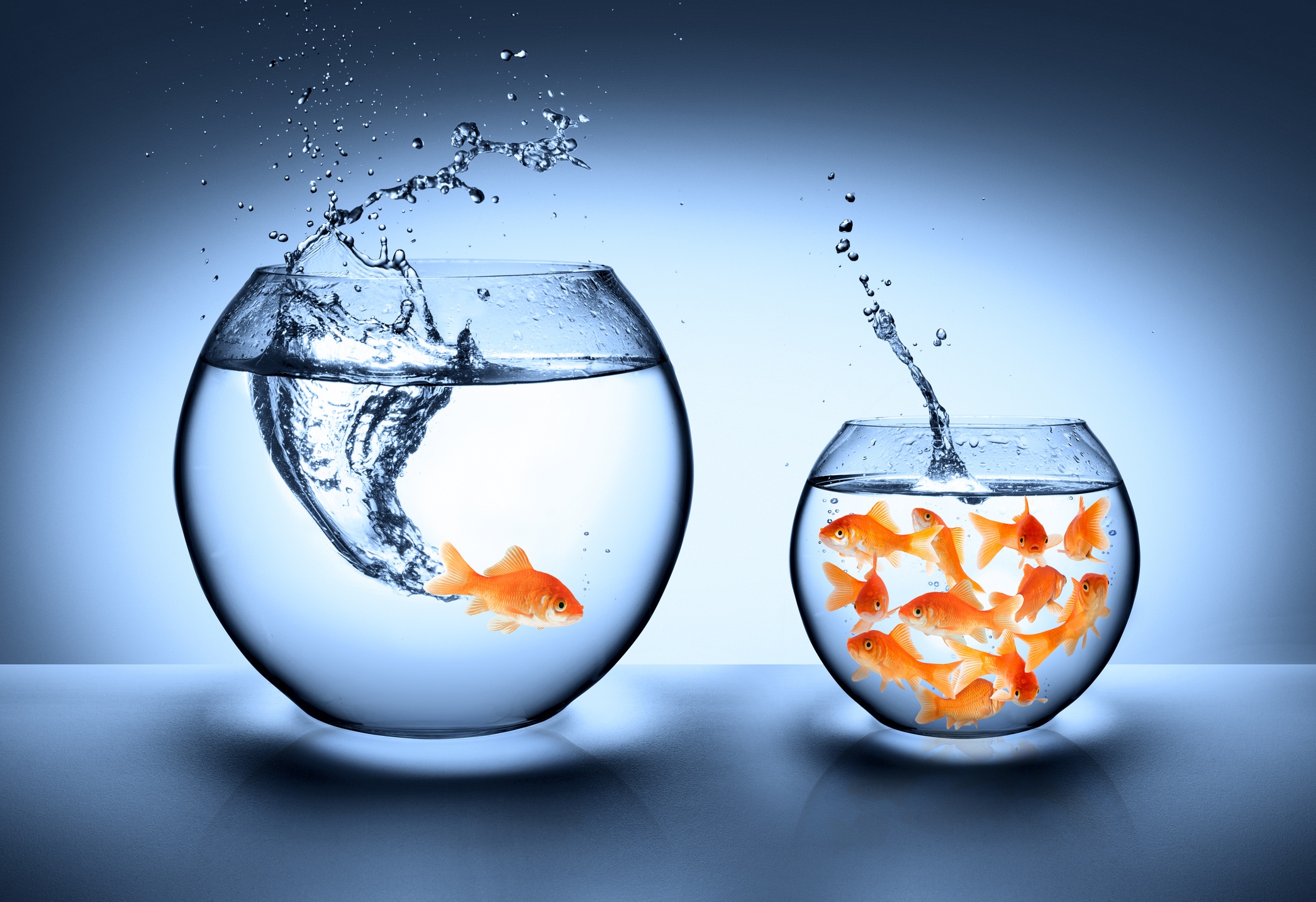 challenge-your-prospects-expectations.jpeg
