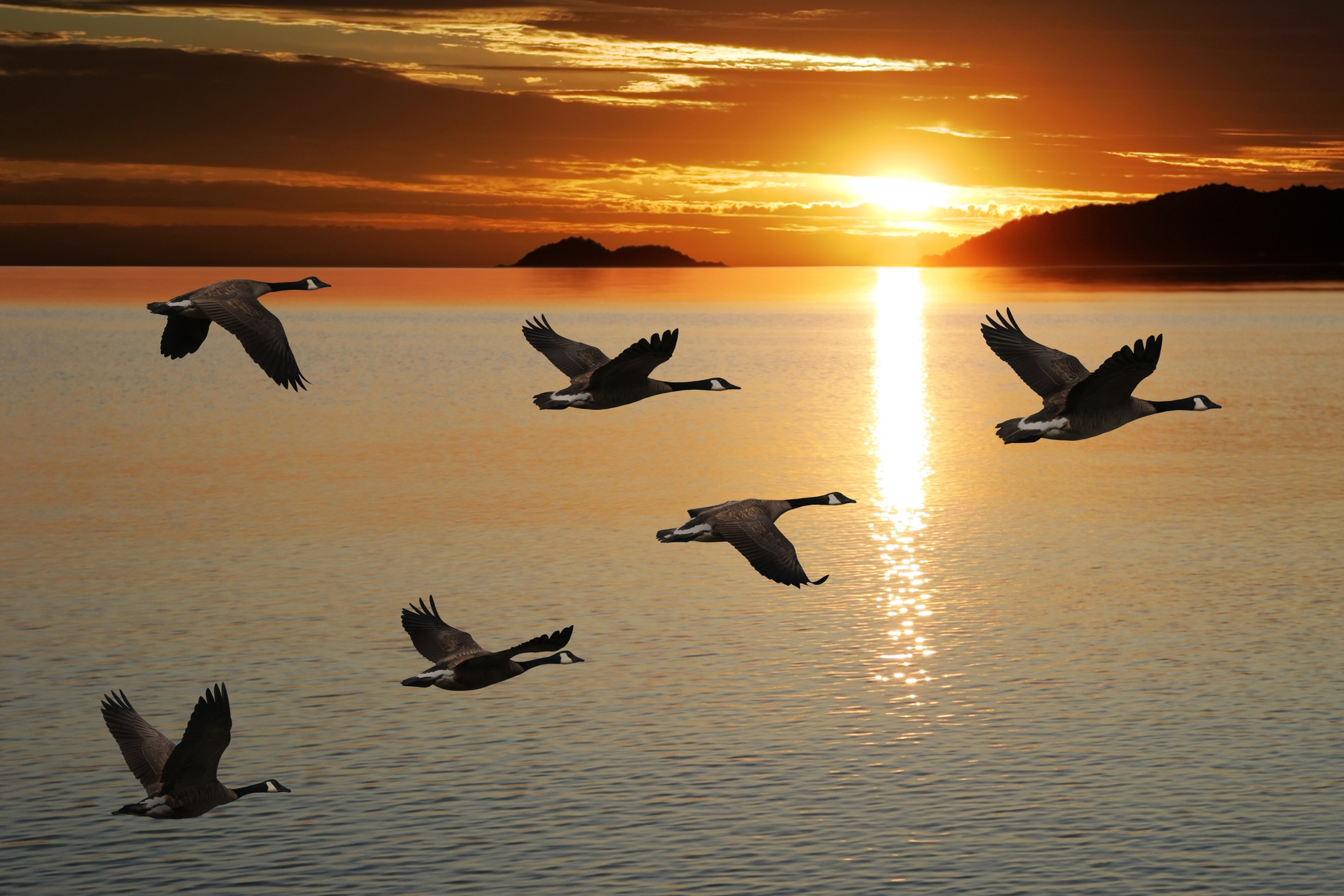 migrating-the-discussion.jpeg