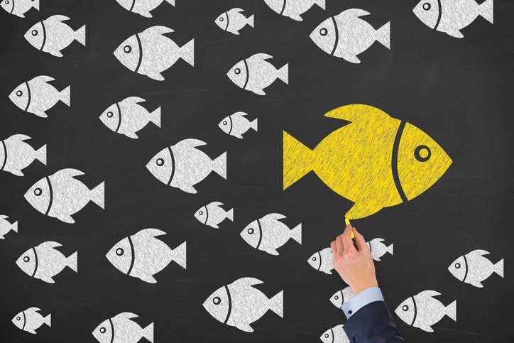 Why Everything You Know About Success Is (Mostly) Wrong