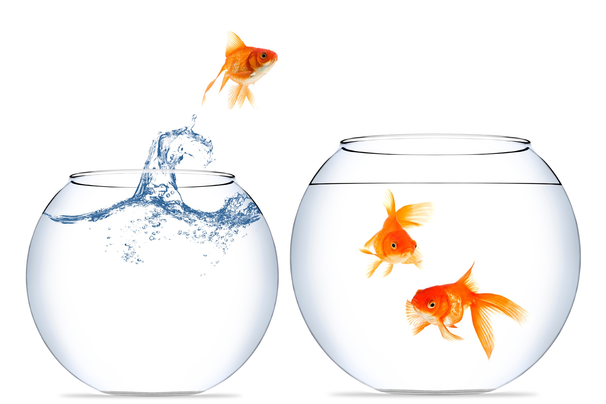 How to Cross-Sell and Up-Sell More Efficiently, Part Two